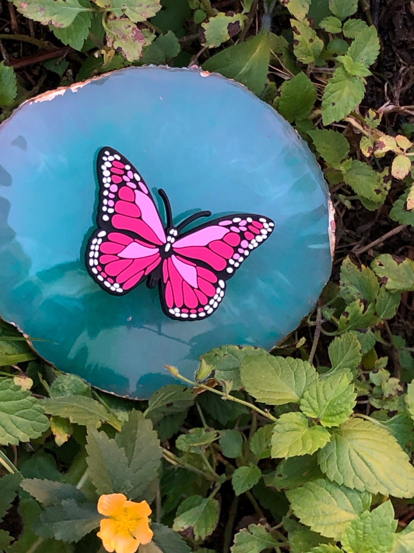 Butterfly croc charm ( Pink )