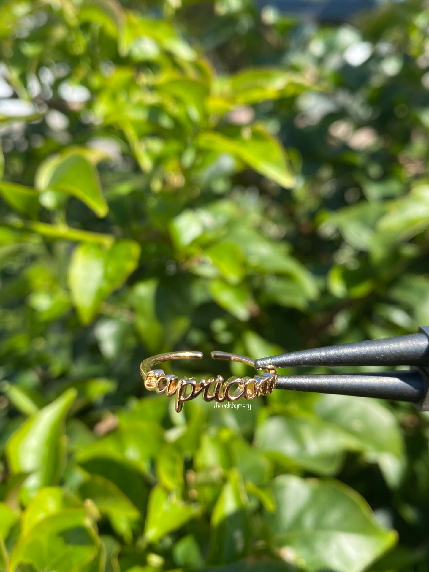 Zodiac ring